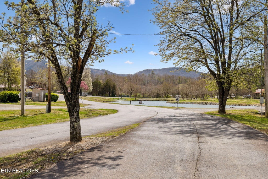 Photo of 749 Big Valley Blvd, Townsend, TN 37882 (MLS # 1353761)