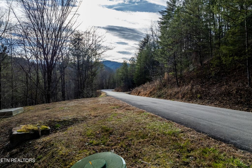 Photo of 138 Anatole Pass, Townsend, TN 37882 (MLS # 1250754)