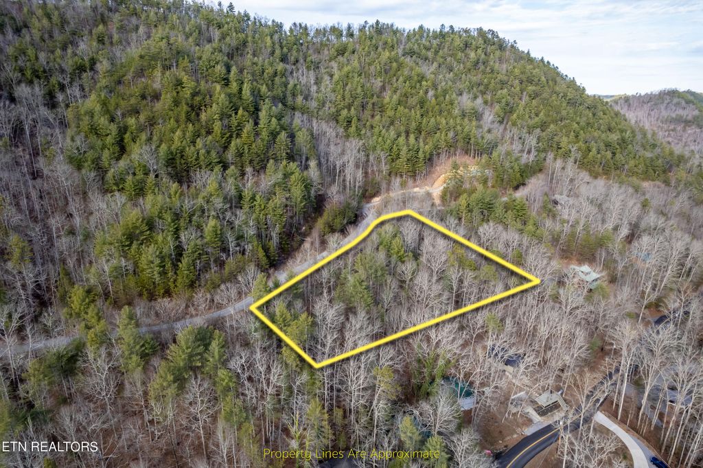 Photo of 138 Anatole Pass, Townsend, TN 37882 (MLS # 1250754)