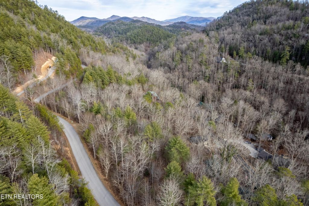 Photo of 138 Anatole Pass, Townsend, TN 37882 (MLS # 1250754)