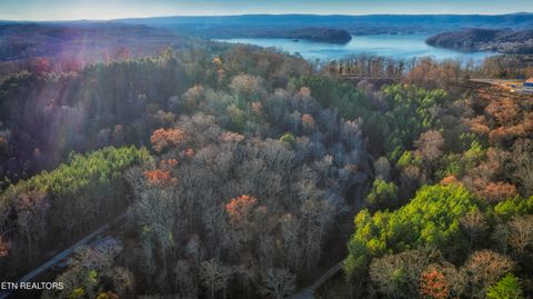 Tiny photo for 345 Magnolia Drive, Spring City, TN 37381 (MLS # 1322862)