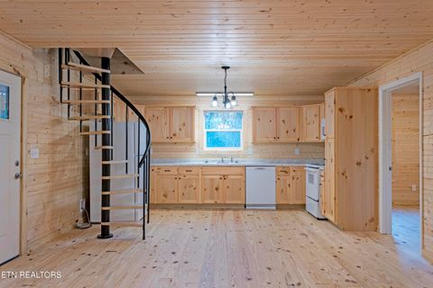 Tiny photo for 345 Magnolia Drive, Spring City, TN 37381 (MLS # 1322862)