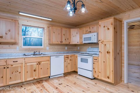 Tiny photo for 345 Magnolia Drive, Spring City, TN 37381 (MLS # 1322862)