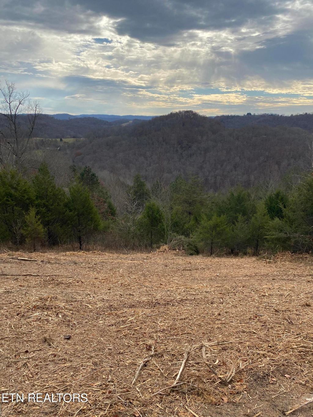 Photo of Cosby Ridge Road, Tazewell, TN 37879 (MLS # 1245053)