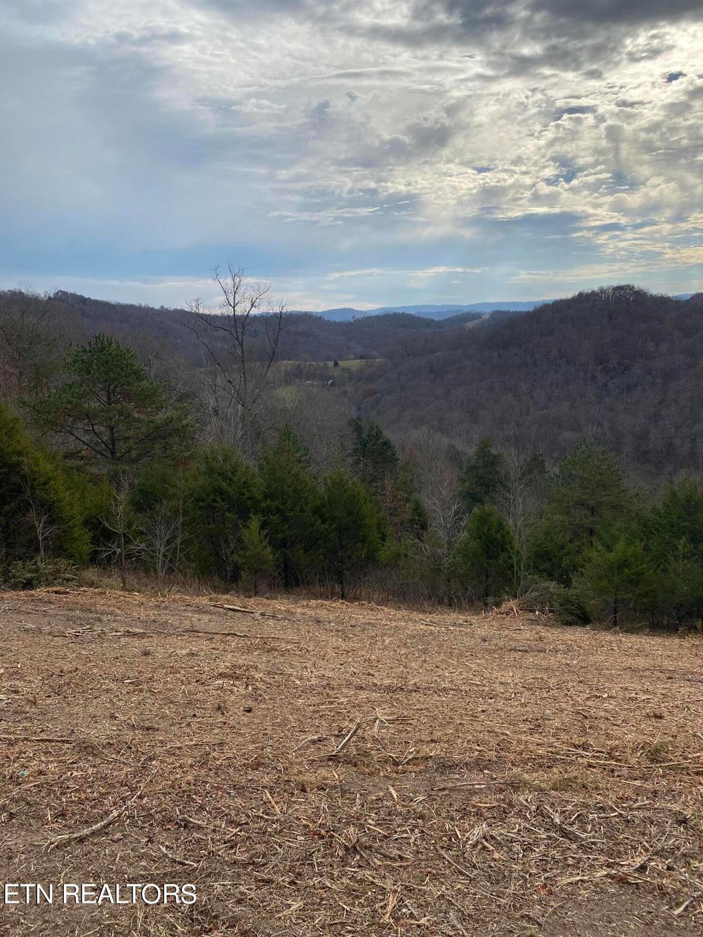 Photo of Cosby Ridge Road, Tazewell, TN 37879 (MLS # 1245053)