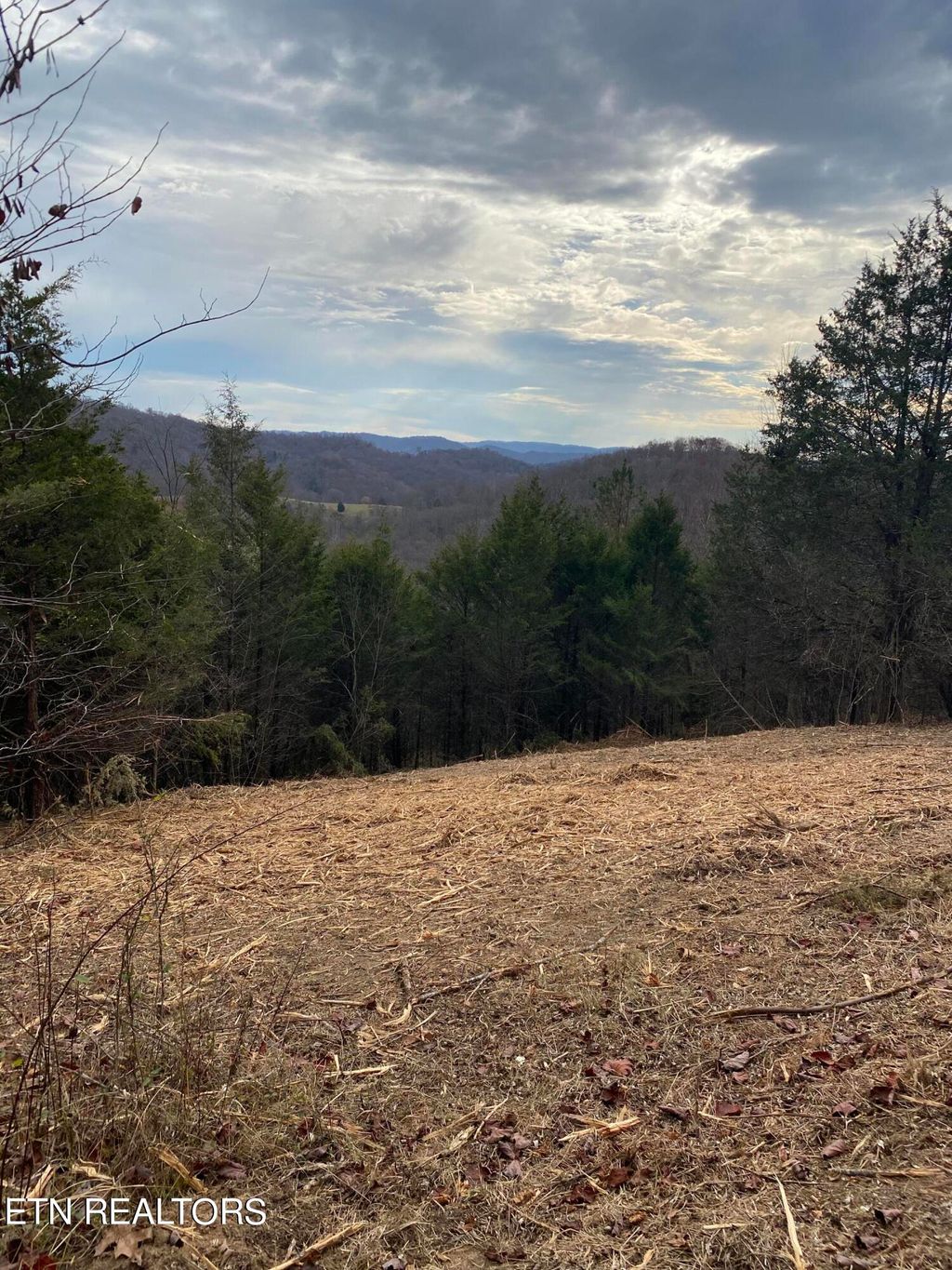 Photo of Cosby Ridge Road, Tazewell, TN 37879 (MLS # 1245053)