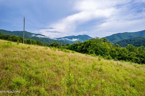 Tiny photo for 145 Mountain Mist Drive, Del Rio, TN 37727 (MLS # 1317721)