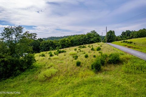 Tiny photo for 145 Mountain Mist Drive, Del Rio, TN 37727 (MLS # 1317721)