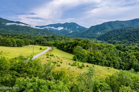 Tiny photo for 145 Mountain Mist Drive, Del Rio, TN 37727 (MLS # 1317721)