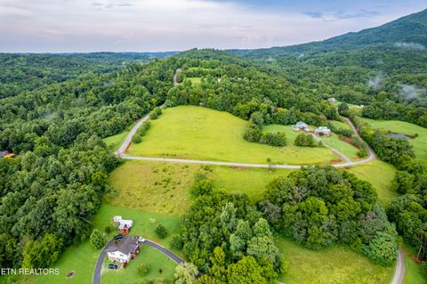 Tiny photo for 145 Mountain Mist Drive, Del Rio, TN 37727 (MLS # 1317721)