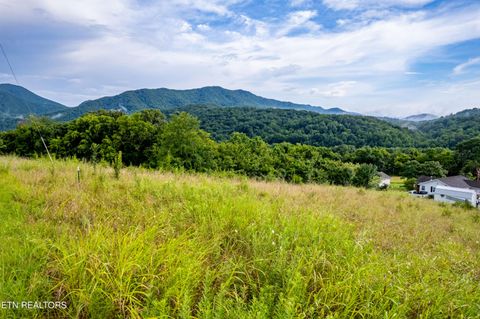 Tiny photo for 145 Mountain Mist Drive, Del Rio, TN 37727 (MLS # 1317721)