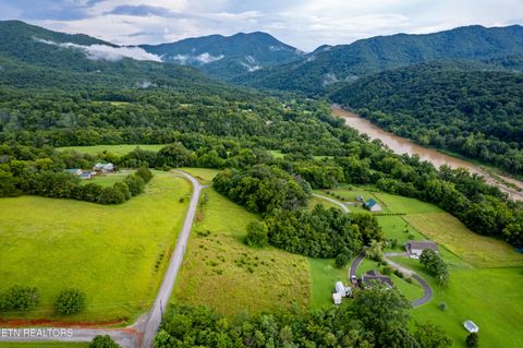Tiny photo for 145 Mountain Mist Drive, Del Rio, TN 37727 (MLS # 1317721)