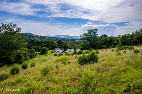 Tiny photo for 145 Mountain Mist Drive, Del Rio, TN 37727 (MLS # 1317721)