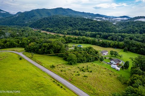 Tiny photo for 145 Mountain Mist Drive, Del Rio, TN 37727 (MLS # 1317721)