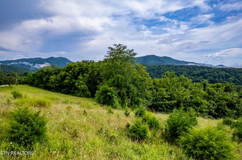Tiny photo for 145 Mountain Mist Drive, Del Rio, TN 37727 (MLS # 1317721)