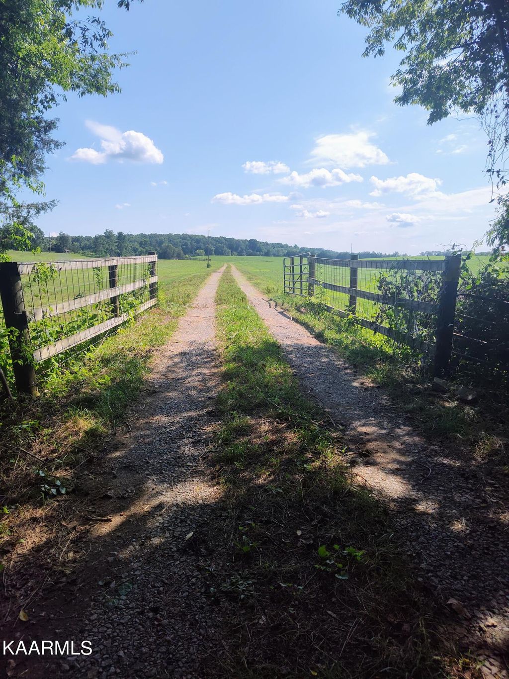 Photo of 6985 Craigs Chapel Rd, Greenback, TN 37742 (MLS # 1235781)