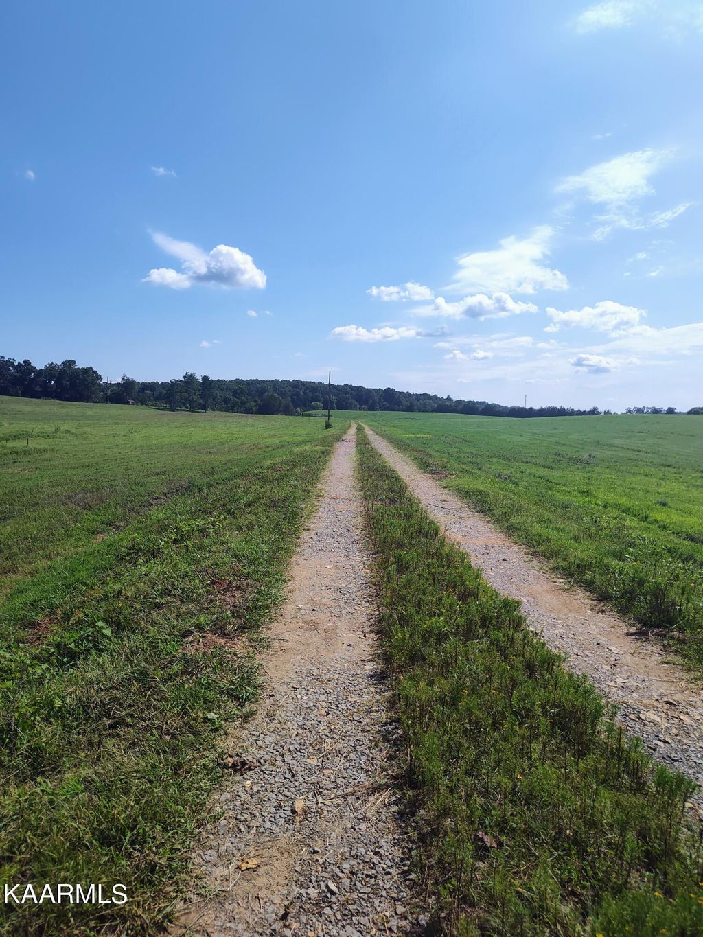 Photo of 6985 Craigs Chapel Rd, Greenback, TN 37742 (MLS # 1235781)