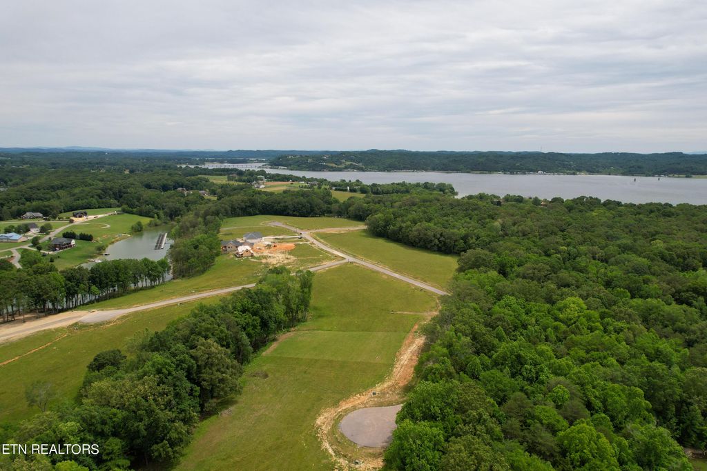 Photo of 51 Sunset Blvd, White Pine, TN 37890 (MLS # 1265404)