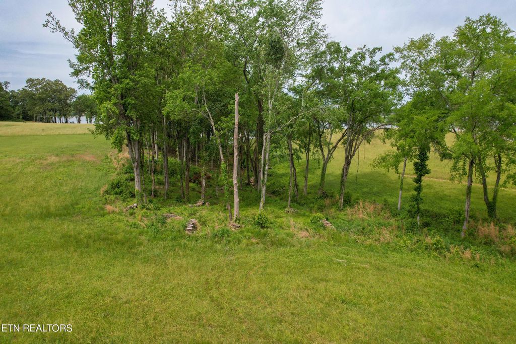 Photo of 51 Sunset Blvd, White Pine, TN 37890 (MLS # 1265404)