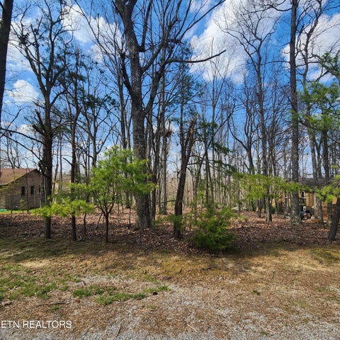 Tiny photo for 23 Ridge Crest Court, Crossville, TN 38558 (MLS # 1335792)
