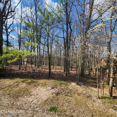 Tiny photo for 23 Ridge Crest Court, Crossville, TN 38558 (MLS # 1335792)