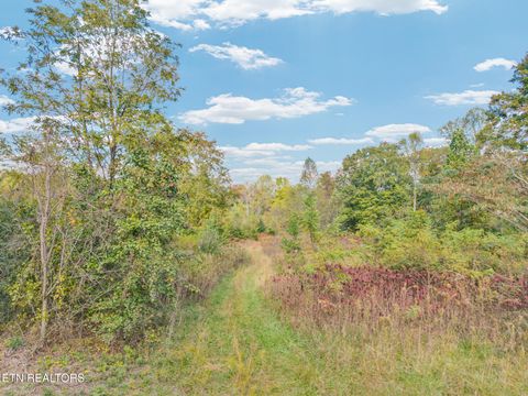 Photo of 202 Sells Cemetery Rd, Wilder, TN 38589 (MLS # 1319271)