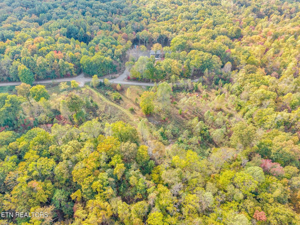 Photo of 202 Sells Cemetery Rd, Wilder, TN 38589 (MLS # 1319271)
