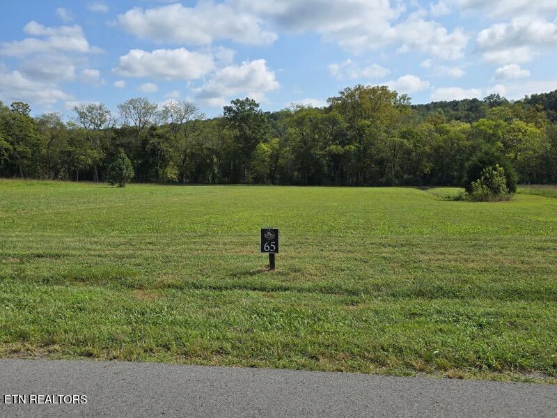 Photo of River Ridge Drive, Dunlap, TN 37327 (MLS # 1356388)