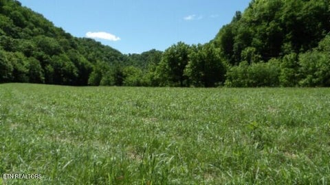 Tiny photo for 5155 Brimstone Creek Rd RD, Moss, TN 38575 (MLS # 1358395)
