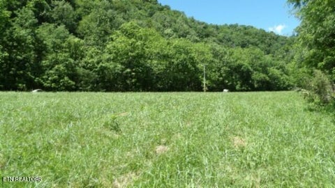 Tiny photo for 5155 Brimstone Creek Rd RD, Moss, TN 38575 (MLS # 1358395)