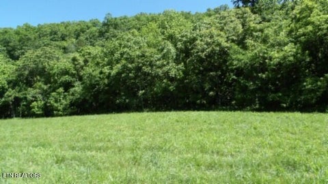 Tiny photo for 5155 Brimstone Creek Rd RD, Moss, TN 38575 (MLS # 1358395)
