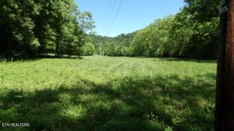 Tiny photo for 5155 Brimstone Creek Rd RD, Moss, TN 38575 (MLS # 1358395)