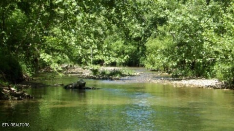 Tiny photo for 5155 Brimstone Creek Rd RD, Moss, TN 38575 (MLS # 1358395)