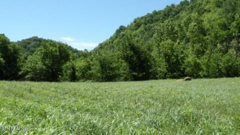 Tiny photo for 5155 Brimstone Creek Rd RD, Moss, TN 38575 (MLS # 1358395)