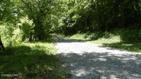 Tiny photo for 5155 Brimstone Creek Rd RD, Moss, TN 38575 (MLS # 1358395)