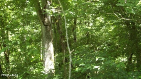 Tiny photo for 5155 Brimstone Creek Rd RD, Moss, TN 38575 (MLS # 1358395)