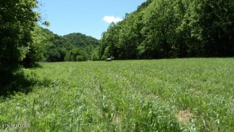 Tiny photo for 5155 Brimstone Creek Rd RD, Moss, TN 38575 (MLS # 1358395)