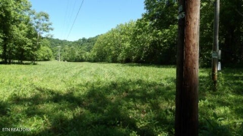 Tiny photo for 5155 Brimstone Creek Rd RD, Moss, TN 38575 (MLS # 1358395)