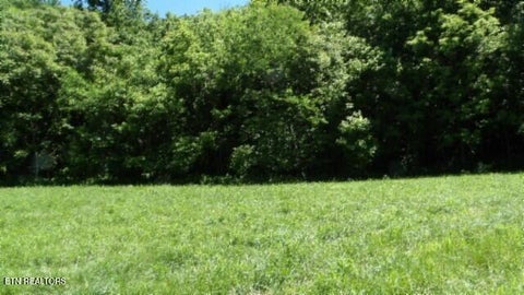 Tiny photo for 5155 Brimstone Creek Rd RD, Moss, TN 38575 (MLS # 1358395)