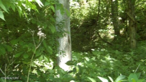 Tiny photo for 5155 Brimstone Creek Rd RD, Moss, TN 38575 (MLS # 1358395)