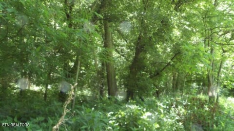 Tiny photo for 5155 Brimstone Creek Rd RD, Moss, TN 38575 (MLS # 1358395)