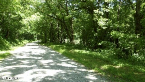 Tiny photo for 5155 Brimstone Creek Rd RD, Moss, TN 38575 (MLS # 1358395)