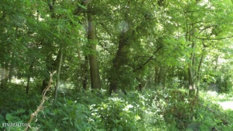 Tiny photo for 5155 Brimstone Creek Rd RD, Moss, TN 38575 (MLS # 1358395)