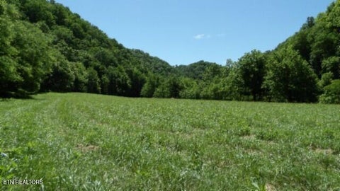 Tiny photo for 5155 Brimstone Creek Rd RD, Moss, TN 38575 (MLS # 1358395)
