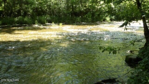 Tiny photo for 5155 Brimstone Creek Rd RD, Moss, TN 38575 (MLS # 1358395)