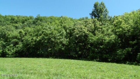 Tiny photo for 5155 Brimstone Creek Rd RD, Moss, TN 38575 (MLS # 1358395)