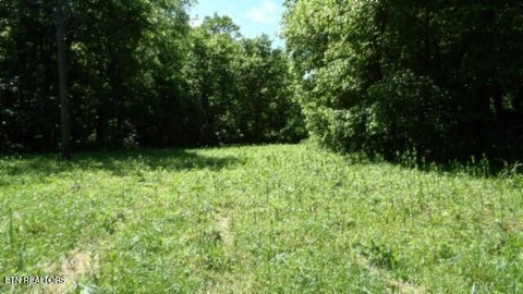 Tiny photo for 5155 Brimstone Creek Rd RD, Moss, TN 38575 (MLS # 1358395)