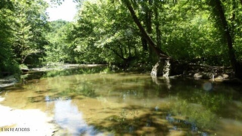 Tiny photo for 5155 Brimstone Creek Rd RD, Moss, TN 38575 (MLS # 1358395)