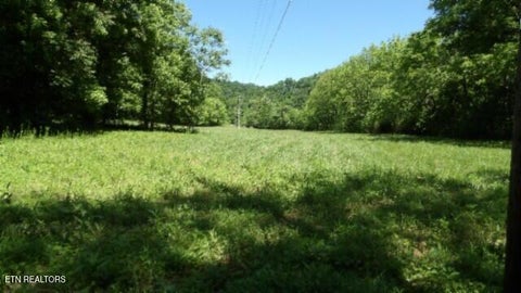 Tiny photo for 5155 Brimstone Creek Rd RD, Moss, TN 38575 (MLS # 1358395)