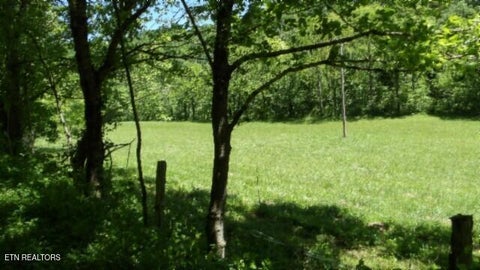 Tiny photo for 5155 Brimstone Creek Rd RD, Moss, TN 38575 (MLS # 1358395)
